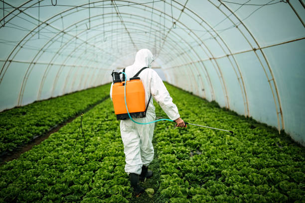 Best Pest Control for Restaurants  in Melwood, MD