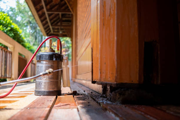 Best Local Pest Control Services  in Melwood, MD