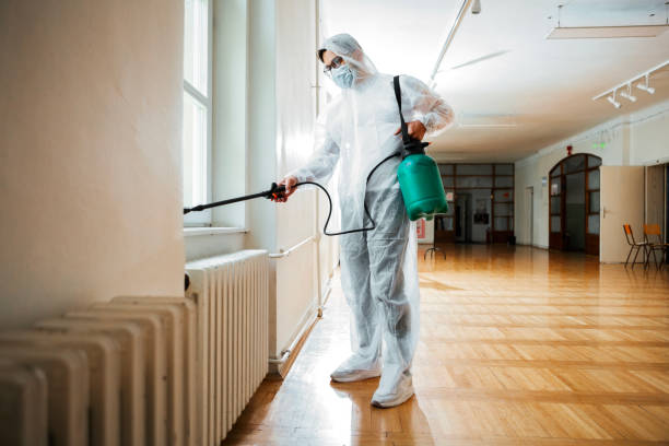Best Rat Extermination Near Me  in Melwood, MD